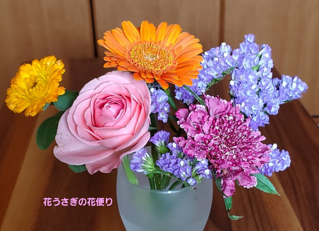 +hana花の定期便の2024年4月+live for flowersの花