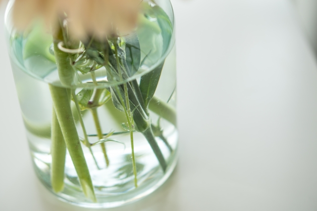 花瓶の中の切り花の茎