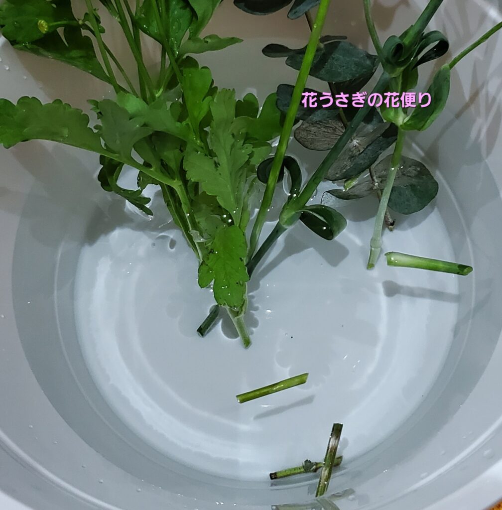 +hana花の定期便で届いた花の水切りと水あげ