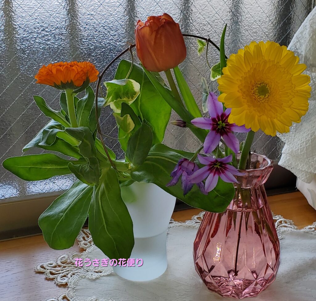 花瓶に飾った+hana花の定期便の花