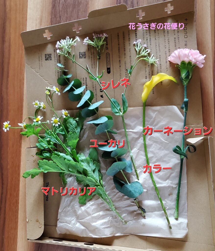 +hana花の定期便の花