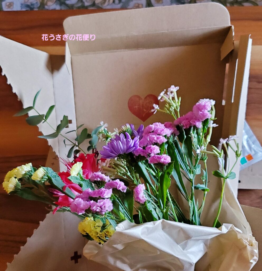 +hana花の定期便で届いた花