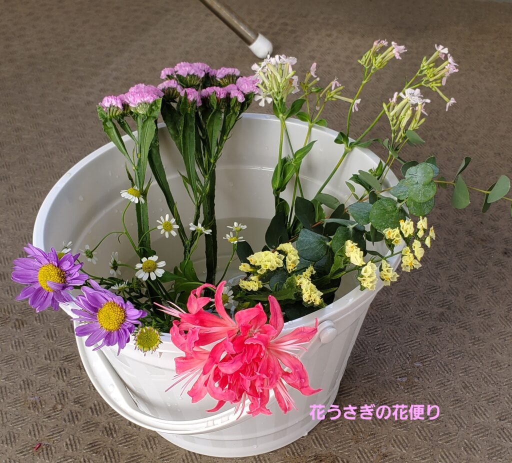 +hana花の定期便で届いた花の水あげ