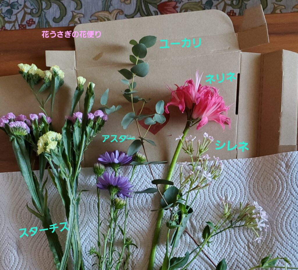 +hana花の定期便で届いた花