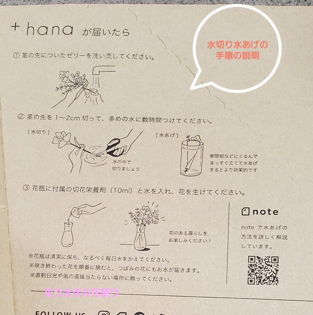 +hana花の定期便の花が届いた時の取り扱い説明書