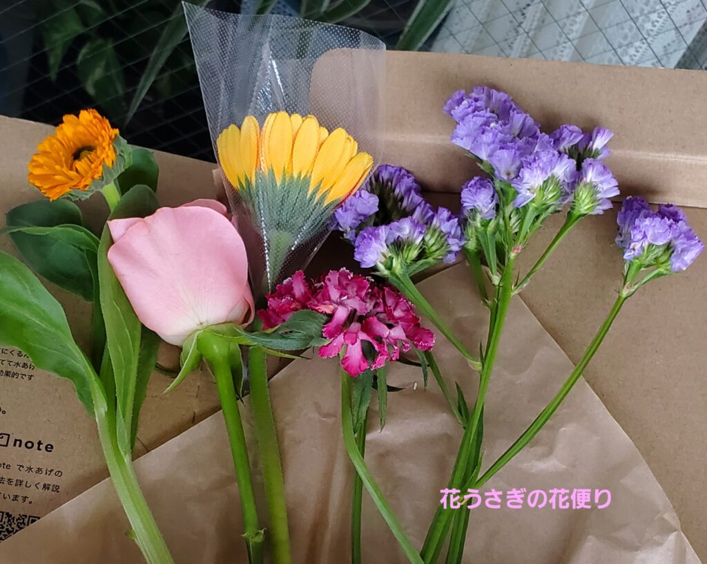 +hana花の定期便で届いた花５種