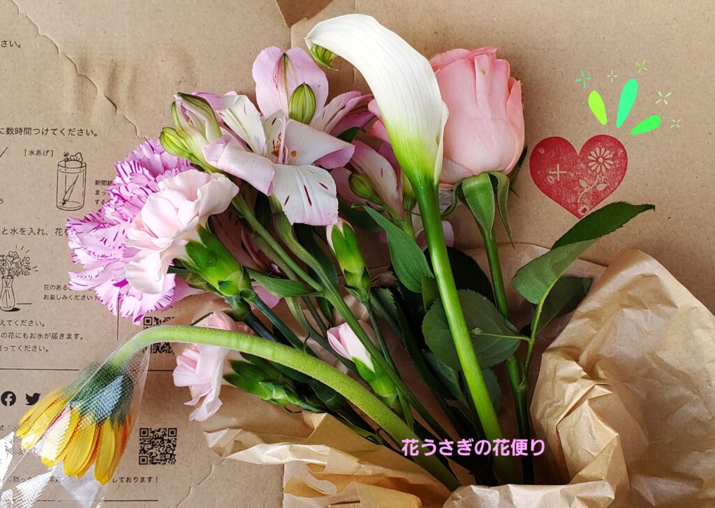 +hana花の定期便【+live for flowerプラン】ラッキースタンプ💖便の花