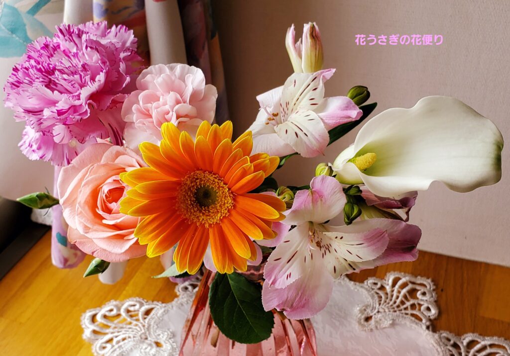 +hana花の定期便【+live for flowerプラン】のラッキースタンプ💖便の花