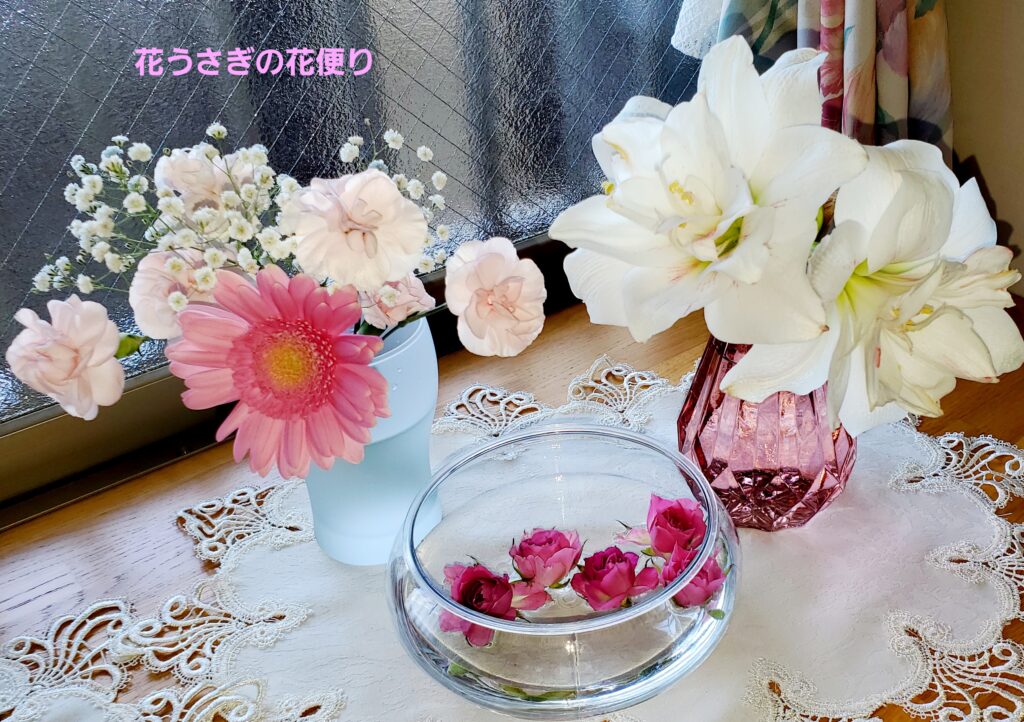 ５月の+hana花の定期便「+live for flowers」の花