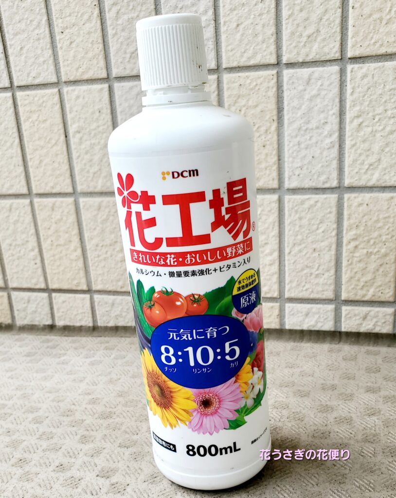 観葉植物の水肥料