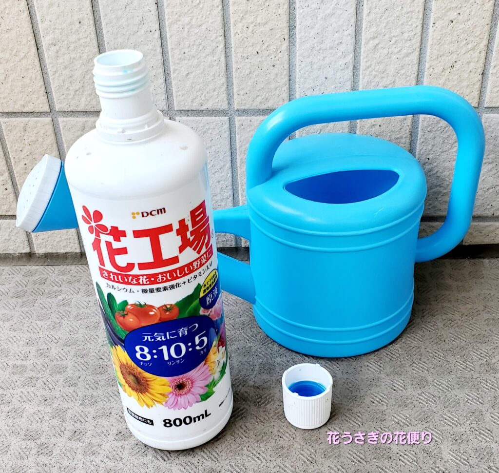 観葉植物の水肥料とジョウロ
