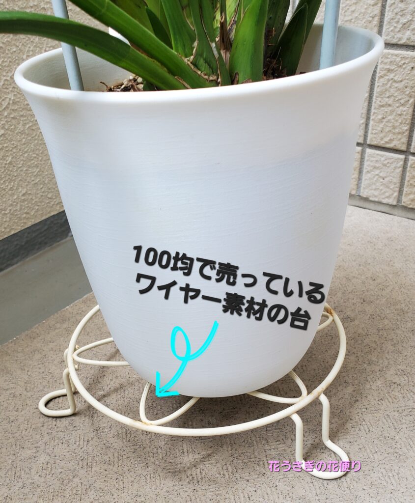 シンビジウムの鉢と台