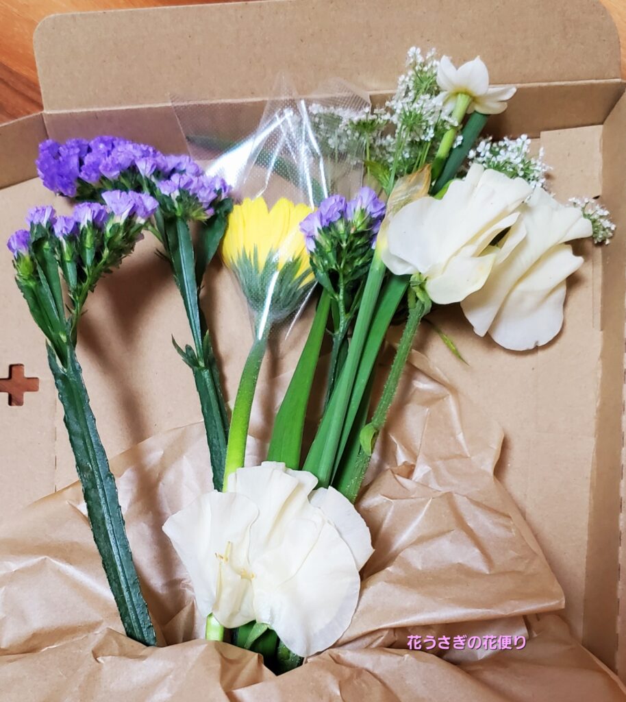 +hana花の定期便　ダイアード配色の組み合わせの花