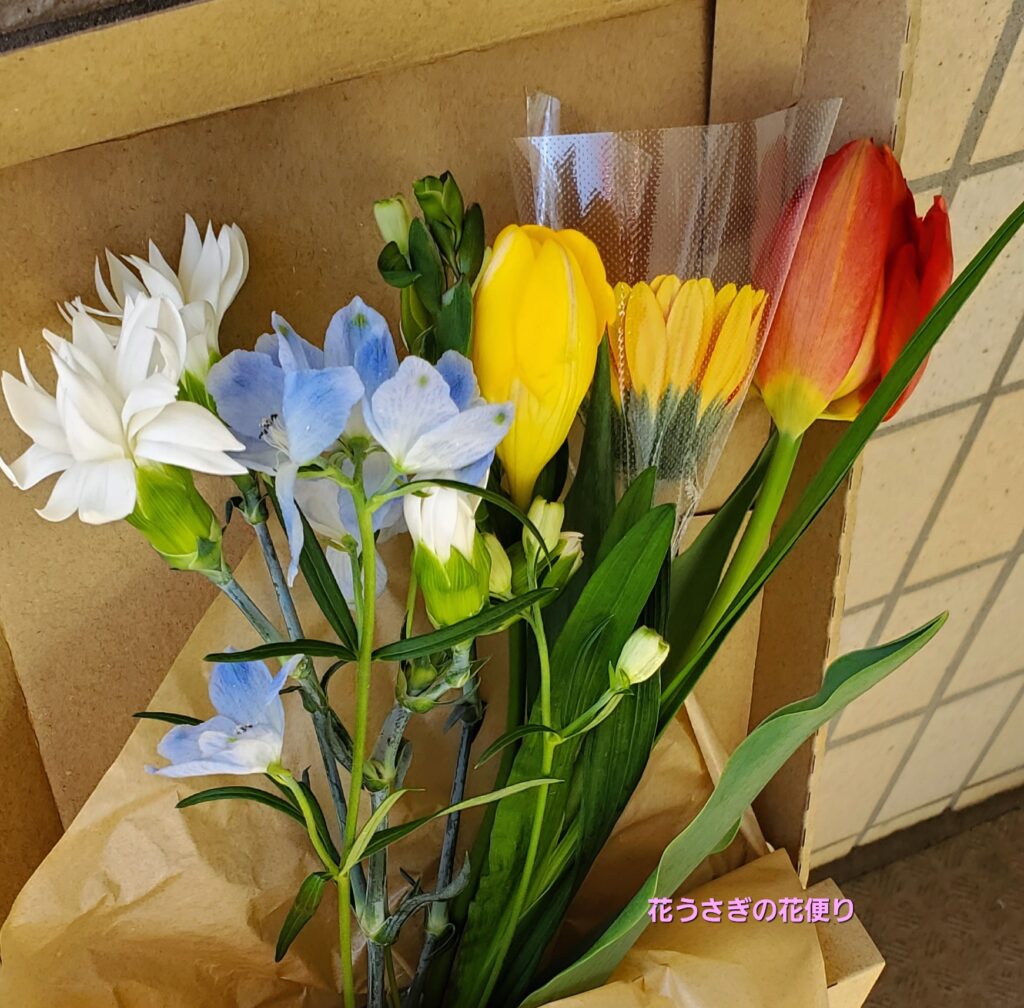 +hana花の定期便　レッド系＋オレンジ系＋黄色系＋ブルー系の組み合わせの花