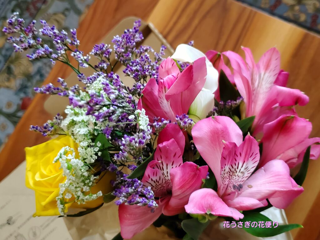 +hana花の定期便　上品さと華やかさがマッチした組み合わせの花