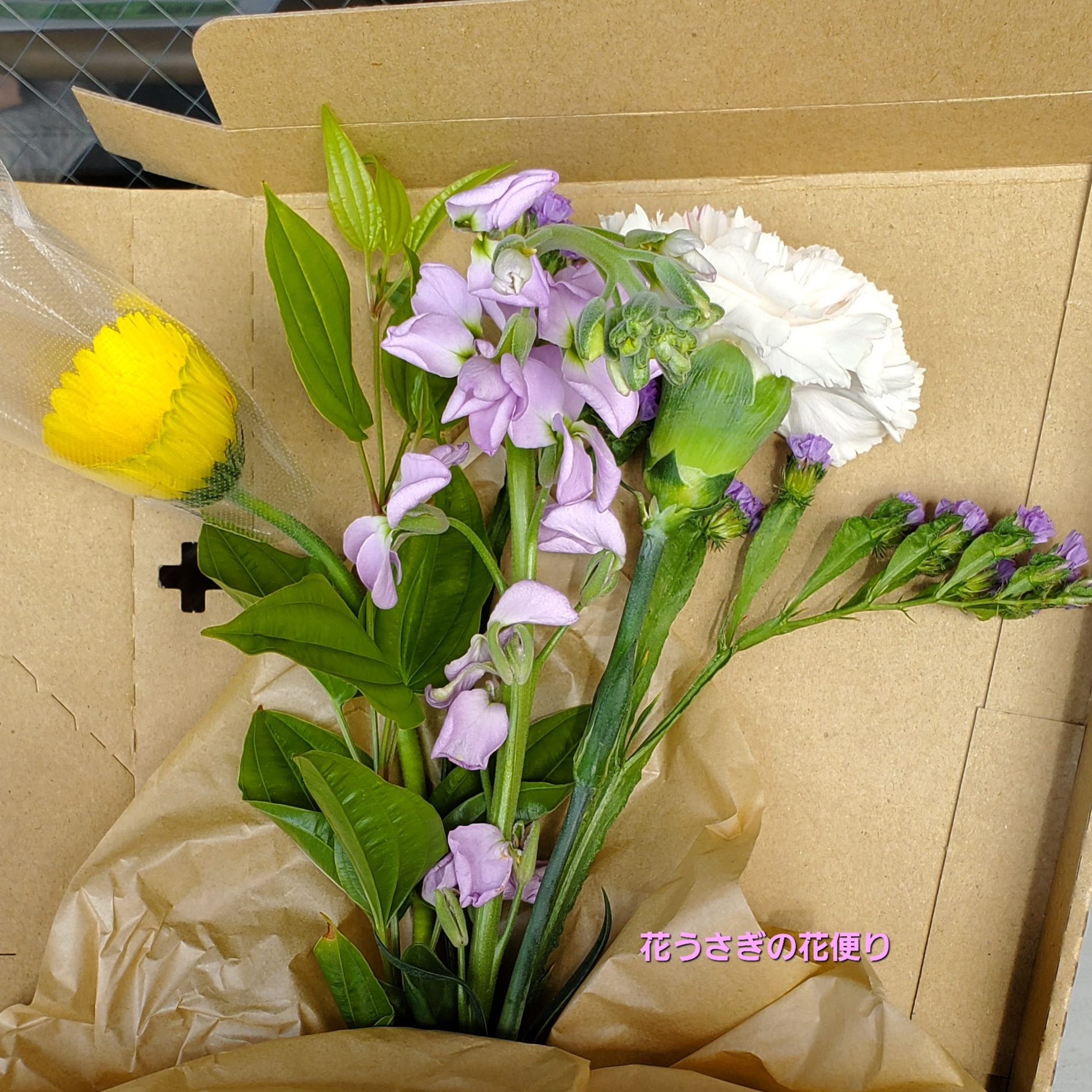 +hana花の定期便ダイアード配色の組み合わせの花