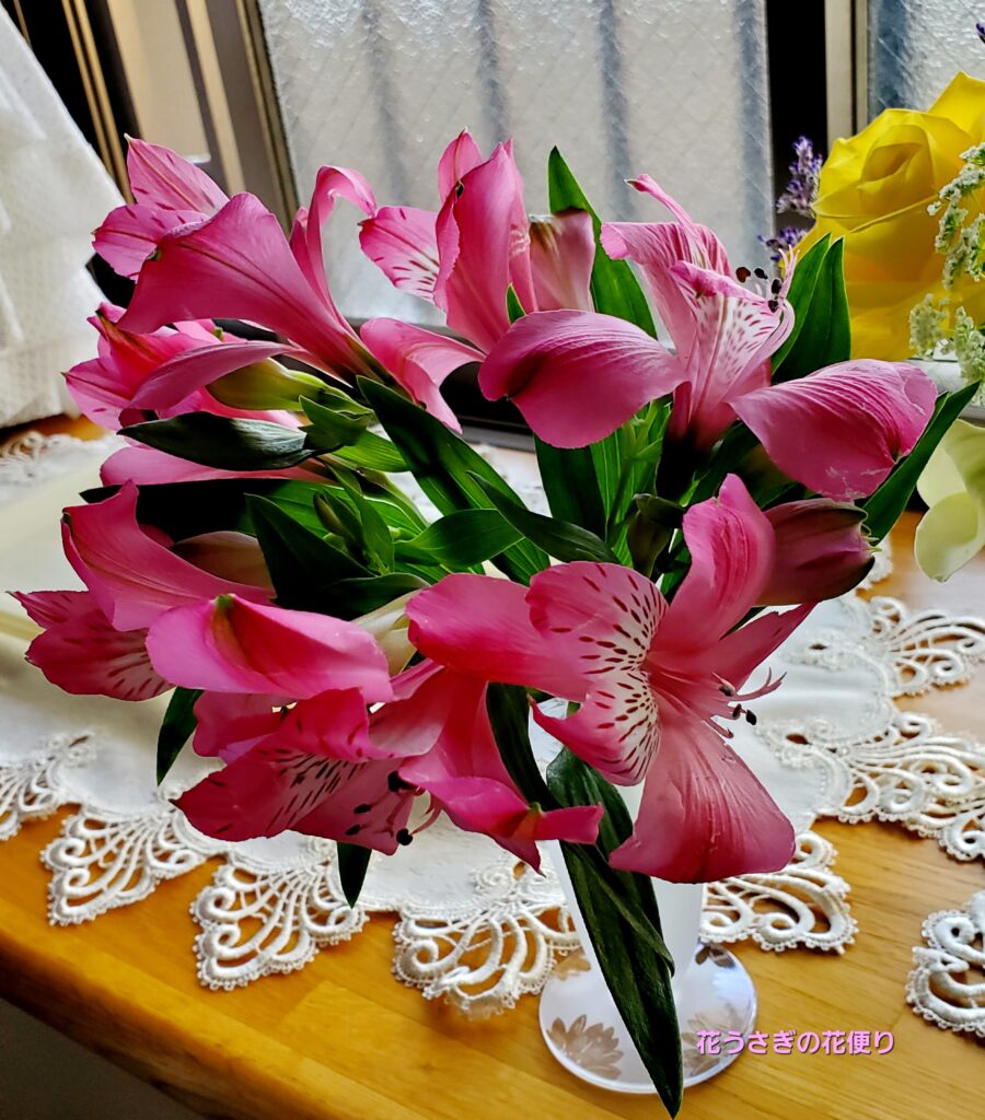 +hana花の定期便　アルストロメリア（ピンク系）